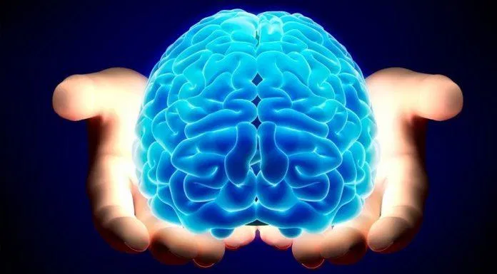 Não là cơ quan có cấu tạo tinh vi phức tạp và sử dụng rất nhiều năng lượng của cơ thể (Ảnh: Internet).