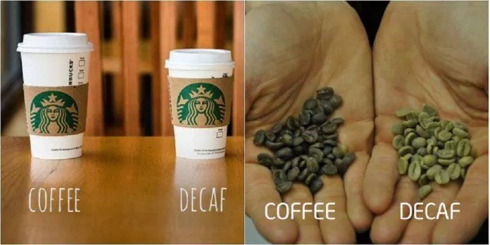 Decaf là loại cà phê đã được xử lý để làm giảm lượng caffeine (Ảnh: Internet).