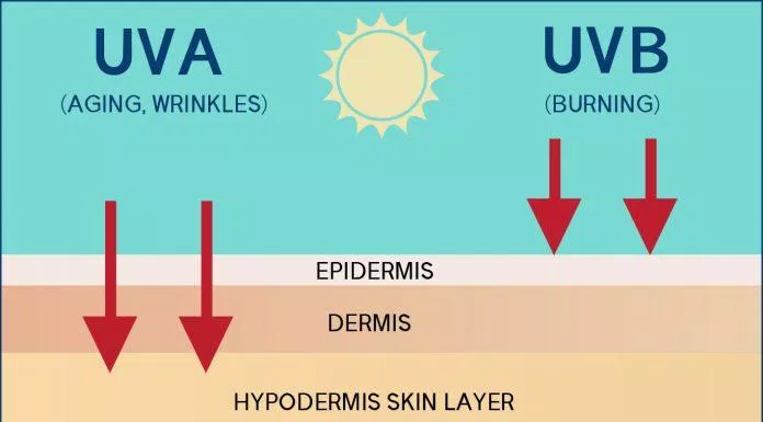 Tia UV được phân thành 3 dạng chính UVA, UVB và UVC trong đó 2 tia UVA và UVB phổ biến nhất trong ánh nắng mặt trời (Nguồn: BlogAnChoi).