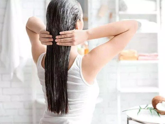 Dầu dừa thường sẽ phát huy được tác dụng tốt nhất khi được sử dụng như một sản phẩm ủ tóc (Nguồn: Internet).
