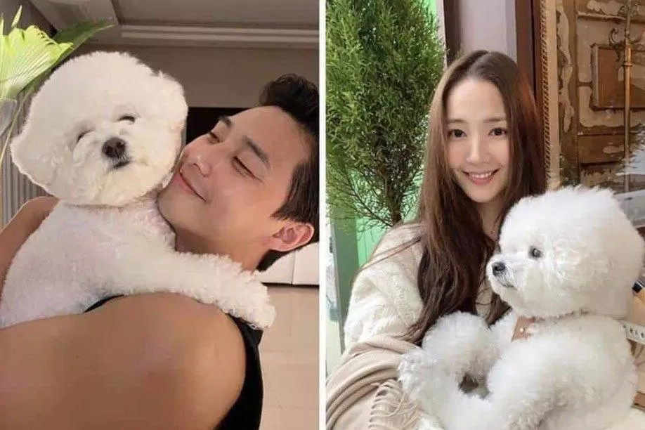 Dân tình náo loạn với những hình ảnh này (Ảnh: Internet). Dân tình náo loạn với những hình ảnh này (Ảnh: Internet).