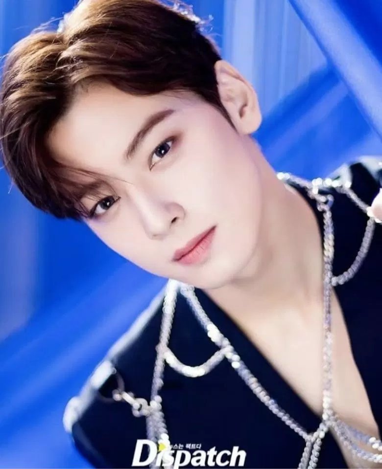 Cha Eunwoo (ASTRO) nam thần tượng đẹp trai xuất sắc trong ngành công nghiệp K-Pop. (Nguồn: Internet) Cha Eunwoo (ASTRO) nam thần tượng đẹp trai xuất sắc trong ngành công nghiệp K-Pop. (Nguồn: Internet)