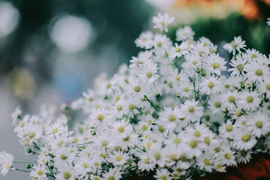 Yêu lần nào cũng sẽ như lần đầu tiên? ( ảnh Internet) Yêu lần nào cũng sẽ như lần đầu tiên? ( ảnh Internet)