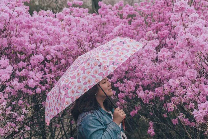 Vẫn còn một chút se lạnh dễ chịu khi xứ Hàn bước vào tháng Tư (Ảnh: Internet). Vẫn còn một chút se lạnh dễ chịu khi xứ Hàn bước vào tháng Tư (Ảnh: Internet).