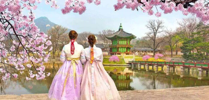 Ngắm hoa trong tiết trời se mát đầu xuân đúng là thú vui tuyệt vời khi du lịch Hàn Quốc (Ảnh: Internet).