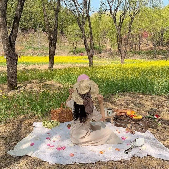 Những chuyến picnic dưới bóng cây xanh mát là hoạt động thú vị tại Hàn Quốc vào mùa xuân (Ảnh: Internet). Những chuyến picnic dưới bóng cây xanh mát là hoạt động thú vị tại Hàn Quốc vào mùa xuân (Ảnh: Internet).