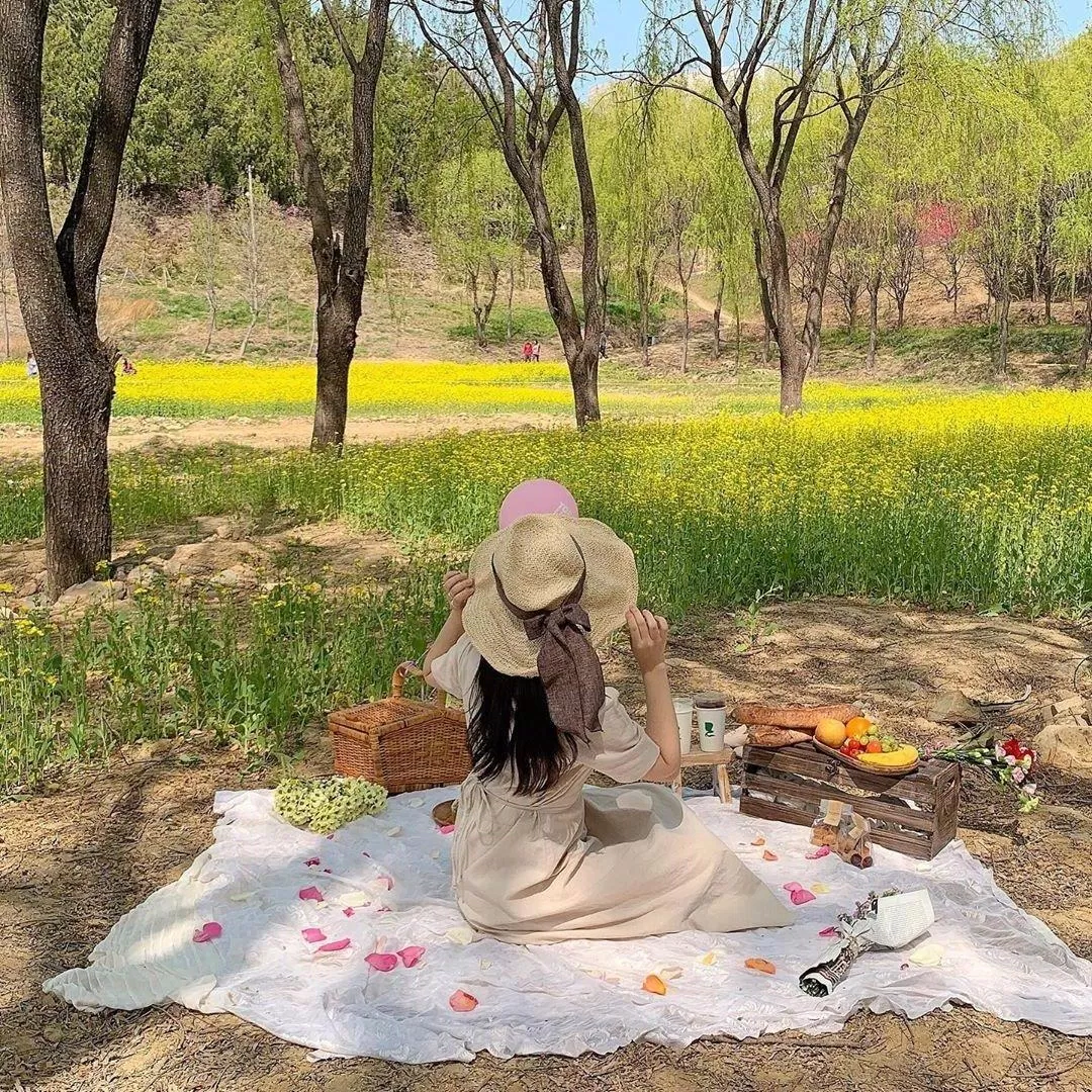 Những chuyến picnic dưới bóng cây xanh mát là hoạt động thú vị tại Hàn Quốc vào mùa xuân (Ảnh: Internet). Những chuyến picnic dưới bóng cây xanh mát là hoạt động thú vị tại Hàn Quốc vào mùa xuân (Ảnh: Internet).