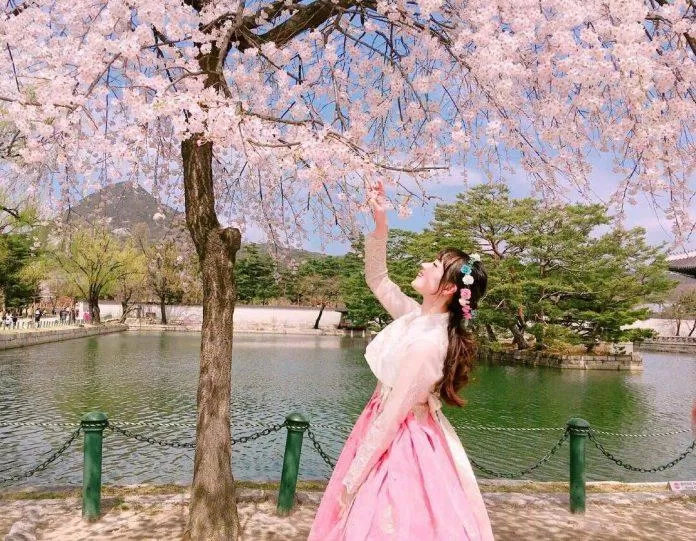 Hanbok thướt tha kết hợp với sắc hoa và nắng dịu của tháng Tư sẽ tạo nên một bức ảnh tuyệt vời (Ảnh: Internet).