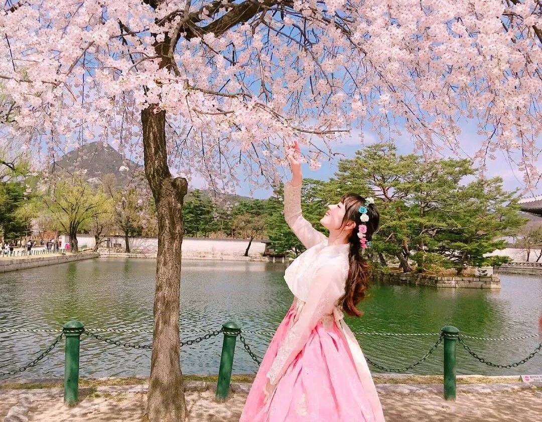 Hanbok thướt tha kết hợp với sắc hoa và nắng dịu của tháng Tư sẽ tạo nên một bức ảnh tuyệt vời (Ảnh: Internet). Hanbok thướt tha kết hợp với sắc hoa và nắng dịu của tháng Tư sẽ tạo nên một bức ảnh tuyệt vời (Ảnh: Internet).