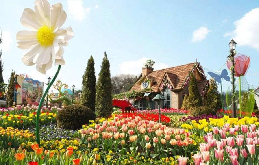Vườn hoa tulip tại Hàn Quốc rực rỡ vào mùa xuân không thua gì đất nước Hà Lan (Ảnh: Internet). Vườn hoa tulip tại Hàn Quốc rực rỡ vào mùa xuân không thua gì đất nước Hà Lan (Ảnh: Internet).