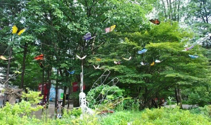 Vườn Bướm Hampyeong trên đảo Nami (Ảnh: Internet).