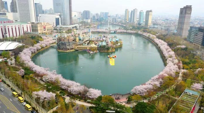 Hoa anh đào nở rực rỡ quanh hồ Seokchon (Ảnh: Internet).