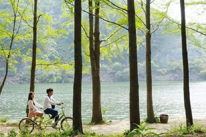 Còn gì tuyệt hơn đi xe đạp đôi cùng "người ấy" dạo quanh thiên đường lãng mạn này! (Ảnh: Internet).
