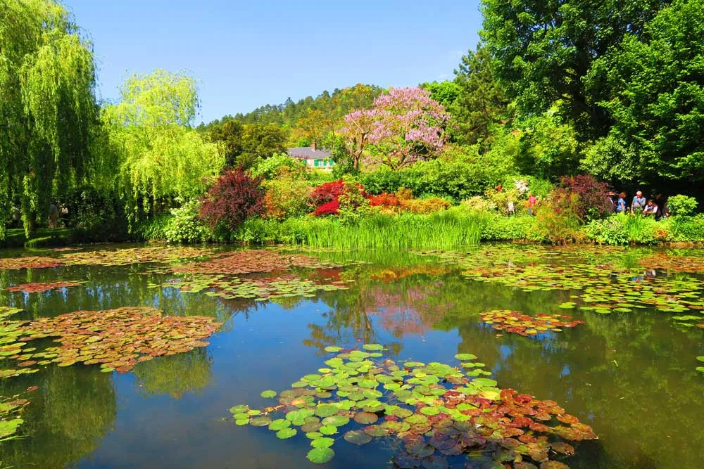 Monet là một họa sĩ nổi tiếng, và khu vườn của ông cũng đẹp như tranh vẽ vậy (Ảnh: Internet). Monet là một họa sĩ nổi tiếng, và khu vườn của ông cũng đẹp như tranh vẽ vậy (Ảnh: Internet).