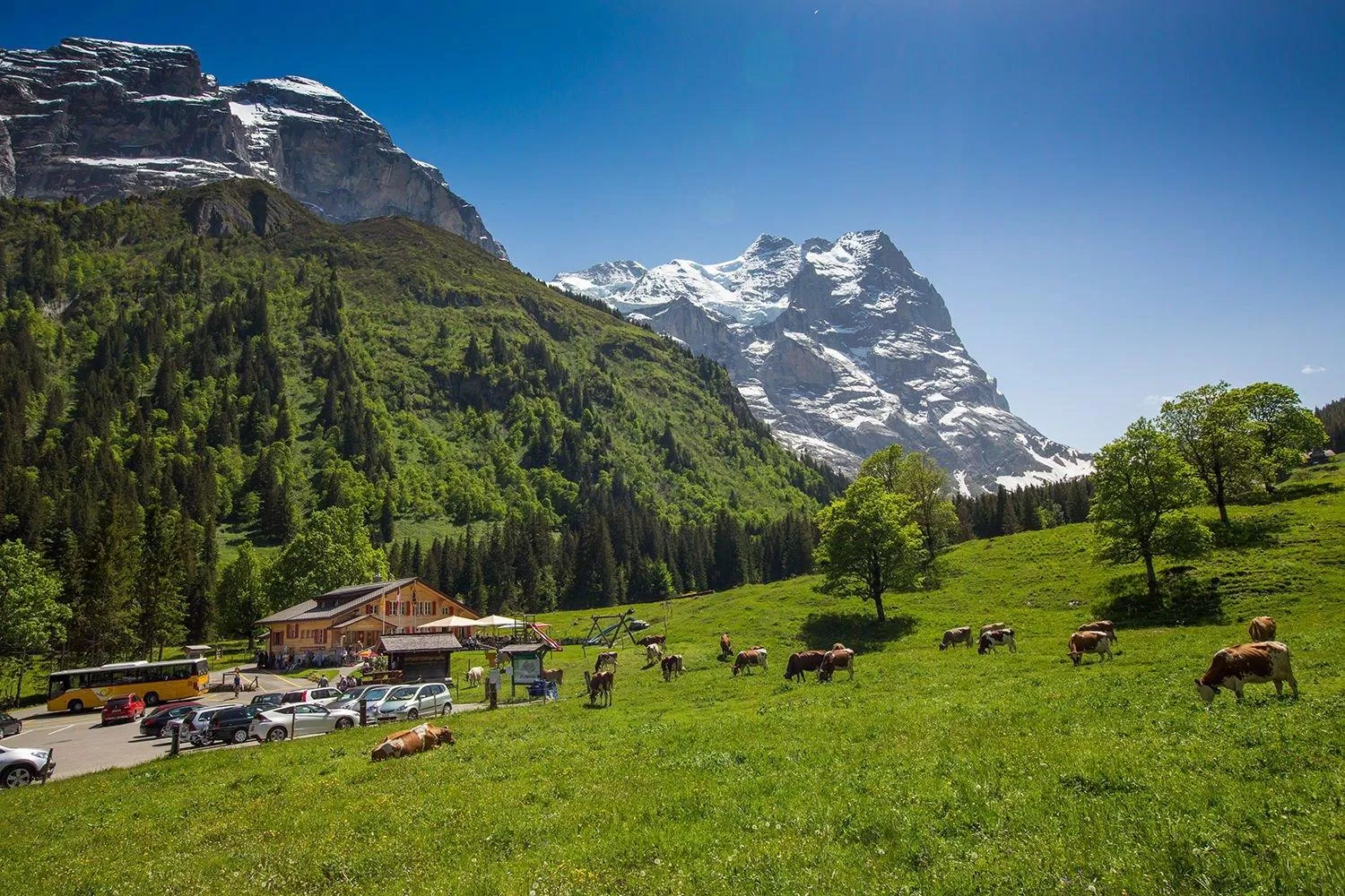 Vùng Schwarzwaldalp với thiên nhiên xanh tươi tuyệt đẹp (Ảnh: Internet). Vùng Schwarzwaldalp với thiên nhiên xanh tươi tuyệt đẹp (Ảnh: Internet).