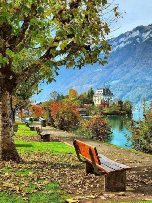 Ngồi dưới tán cây bên hồ và ung dung ngắm cảnh, cảm giác thật yên bình! (Ảnh: Internet). Ngồi dưới tán cây bên hồ và ung dung ngắm cảnh, cảm giác thật yên bình! (Ảnh: Internet).