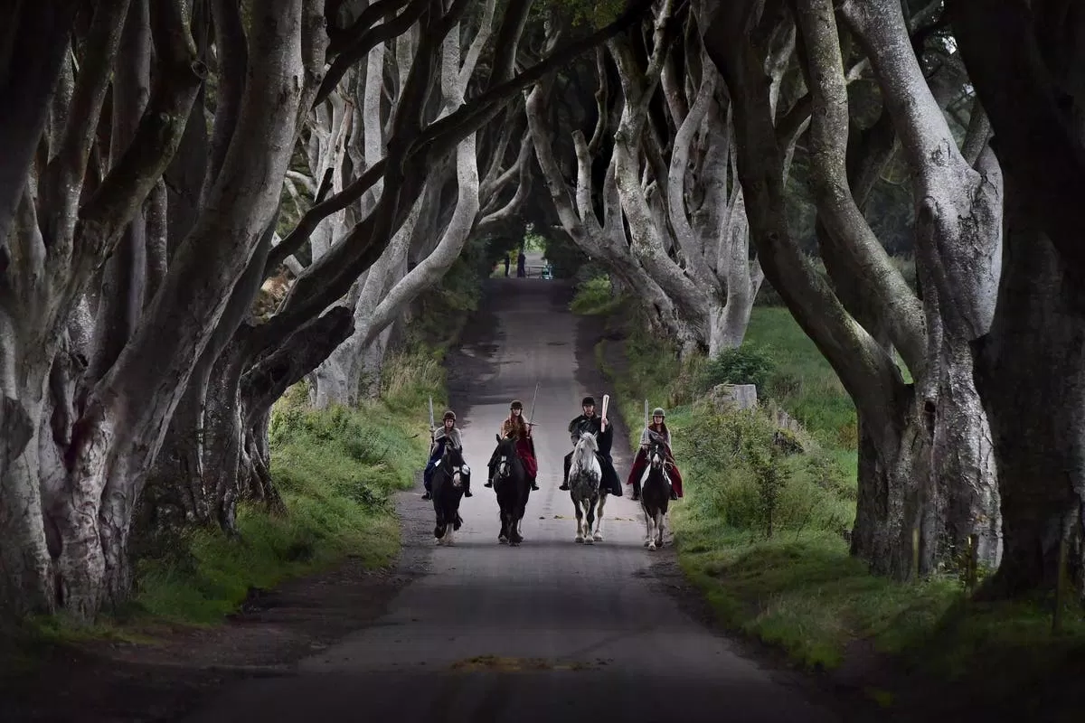 Cảnh quay ban đêm càng làm cho Dark Hedges toát lên vẻ "hắc ám" (Ảnh: Internet). Cảnh quay ban đêm càng làm cho Dark Hedges toát lên vẻ "hắc ám" (Ảnh: Internet).