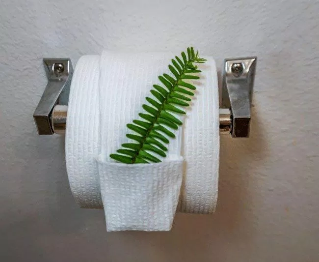 Gấp giấy vệ sinh đẹp độc đáo. (Ảnh: Internet)