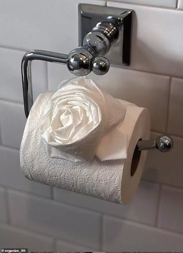 Cách gấp giấy vệ sinh đẹp độc đáo.  (Ảnh: Internet)