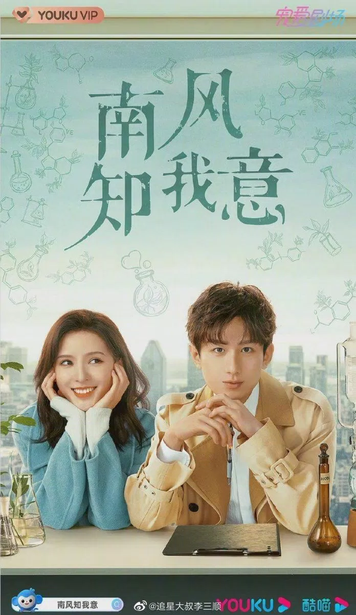 Poster phim Gió Nam Hiểu Lòng Tôi (ảnh: Internet)