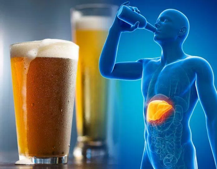Uống nhiều rượu bia có hại cho hệ tiêu hóa, đặc biệt là gan (Ảnh: Internet).