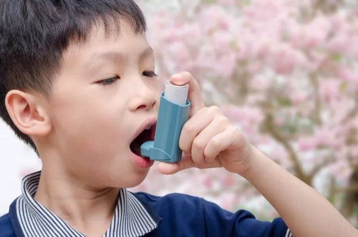 Người bị bệnh hen phải dùng những lọ thuốc như thế này từ khi còn nhỏ (Ảnh: Internet). Người bị bệnh hen phải dùng những lọ thuốc như thế này từ khi còn nhỏ (Ảnh: Internet).