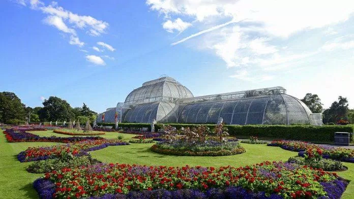 Vườn Kew là tổ hợp giữa không gian xanh ngoài trời và một nhà kính lớn có trồng nhiều loài cây độc lạ (Ảnh: Internet).