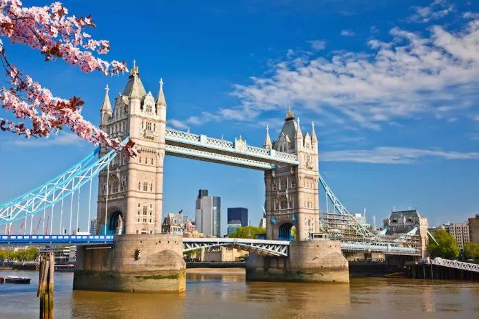 Thủ đô nước Anh nổi tiếng với những công trình cổ kính, nhưng bạn đã biết về những cây hoa anh đào tại đây chưa? (Ảnh: Internet).