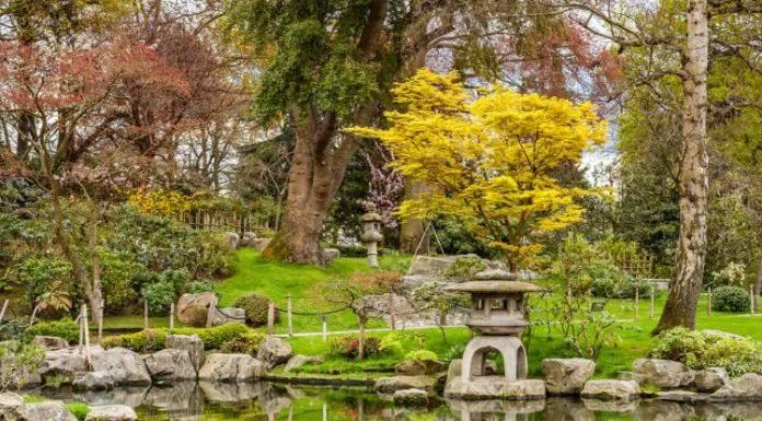 Đúng như tên gọi, Vườn Kyoto là không gian xanh đậm chất Nhật Bản ngay giữa lòng thành phố London (Ảnh: Internet).