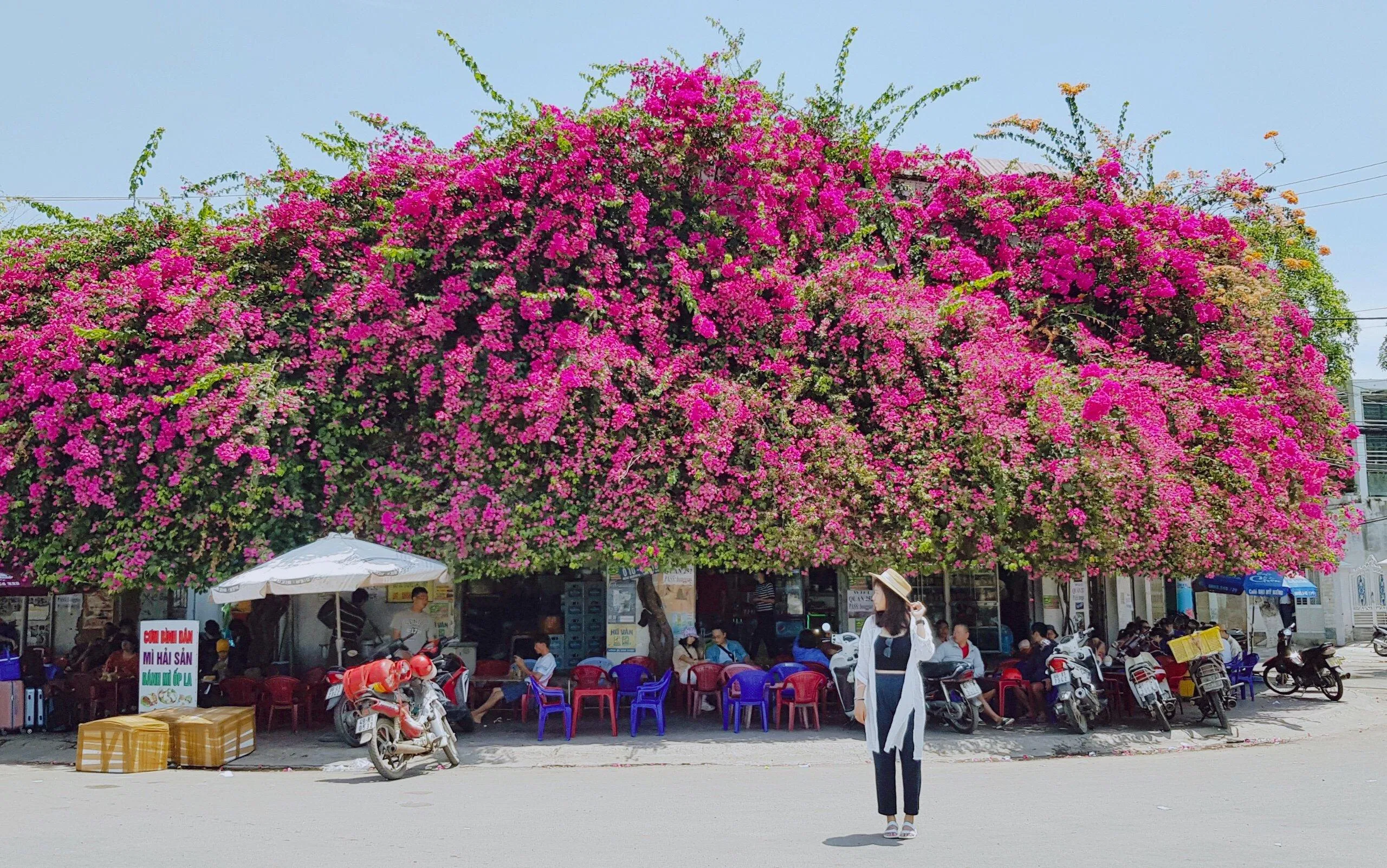 Trạm nghỉ chân tiêu biểu tại bến tàu - tiệm cafe hoa giấy