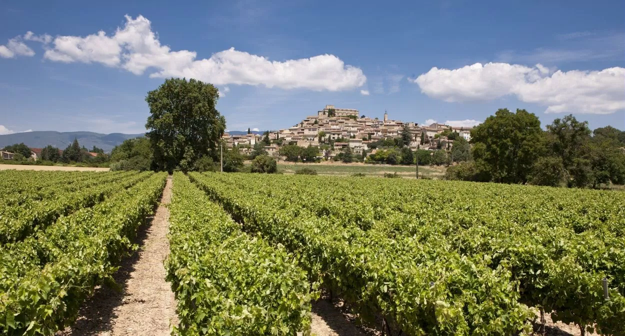 Những cánh đồng trồng nho để làm rượu cũng là điểm đến rất thú vị tại thung lũng Luberon (Ảnh: Internet). Những cánh đồng trồng nho để làm rượu cũng là điểm đến rất thú vị tại thung lũng Luberon (Ảnh: Internet).