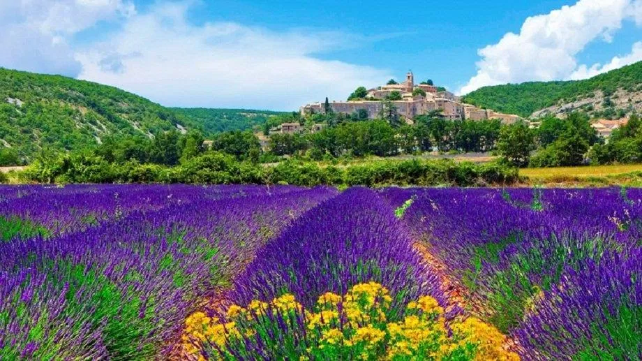 Sắc hoa rực rỡ tại Banon của vùng Provence (Ảnh: Internet). Sắc hoa rực rỡ tại Banon của vùng Provence (Ảnh: Internet).