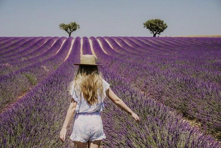 Dạo bước trên đồng hoa trải dài ngút mắt là một cảm giác rất khó quên (Ảnh: Internet). Dạo bước trên đồng hoa trải dài ngút mắt là một cảm giác rất khó quên (Ảnh: Internet).