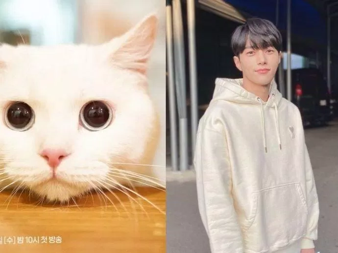 L (INFINITE) sở hữu ngoại hình như bước ra từ truyện tranh. (Nguồn: Internet)