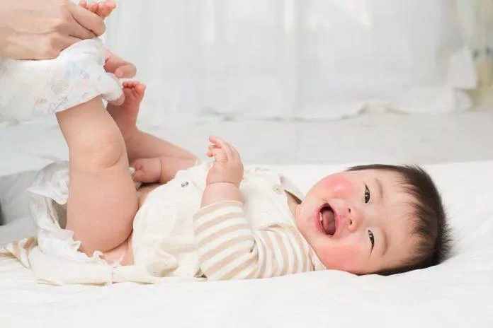 Lá đinh lăng giúp trị các bệnh ngoài da thường gặp ở trẻ nhỏ (Ảnh: Internet). Lá đinh lăng giúp trị các bệnh ngoài da thường gặp ở trẻ nhỏ (Ảnh: Internet).