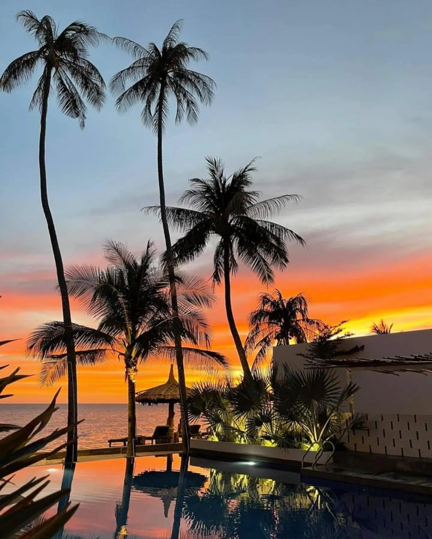 Hoàng hôn tại Meraki Oasis Nguồn ảnh: Fanpage Meraki Oasis