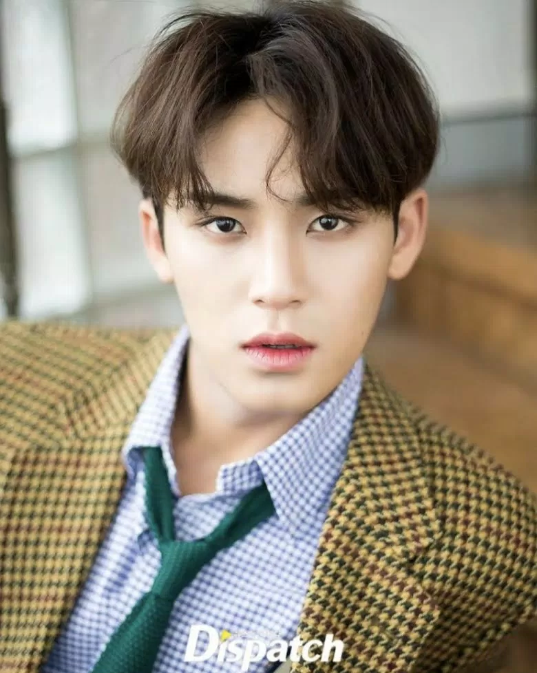 Mingyu (SEVENTEEN) nam thần tượng đẹp trai xuất sắc trong ngành công nghiệp K-Pop. (Nguồn: Internet) Mingyu (SEVENTEEN) nam thần tượng đẹp trai xuất sắc trong ngành công nghiệp K-Pop. (Nguồn: Internet)