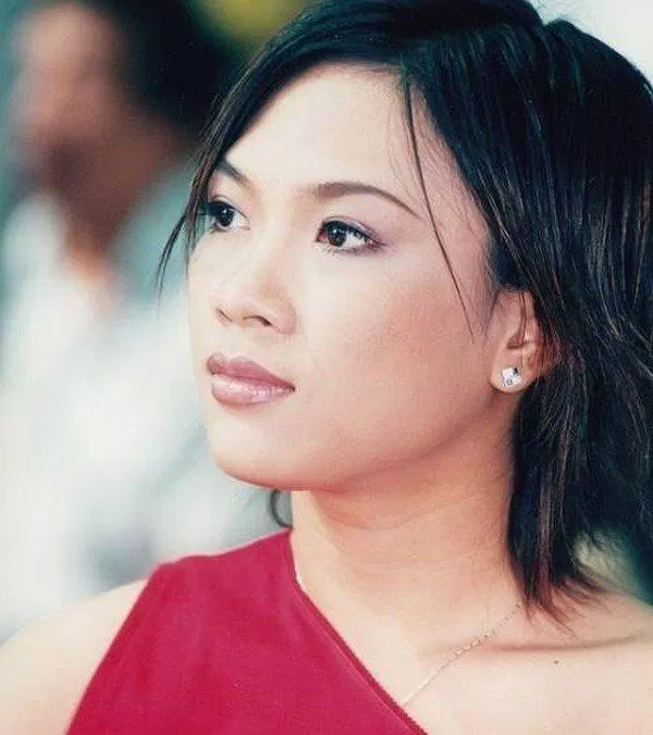 Mỹ Tâm là một trong những ca sĩ mang đến làn gió mới cho âm nhạc Việt Nam. (Ảnh: Internet)