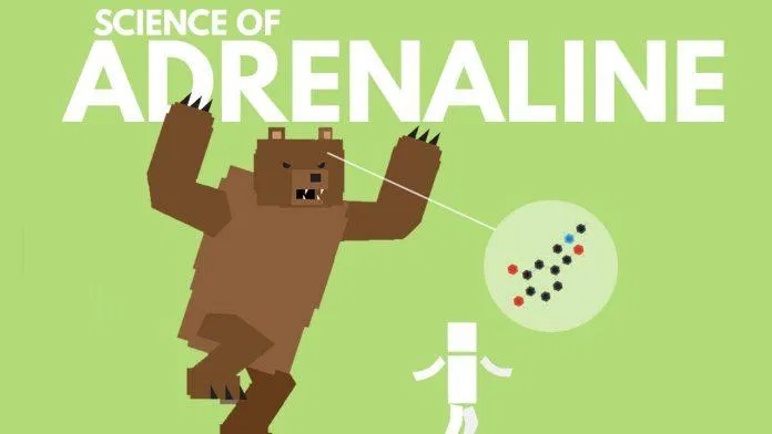 Adrenaline được tiết ra khi bạn đối mặt với căng thẳng và nguy hiểm (Ảnh: Internet). Adrenaline được tiết ra khi bạn đối mặt với căng thẳng và nguy hiểm (Ảnh: Internet).