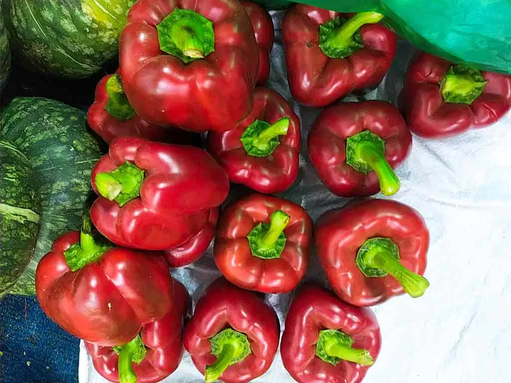 Ớt chuông không chỉ tốt cho làn da mà còn mang lại nhiều công dụng đáng kể đối với sức khỏe. (Nguồn: Internet) Ớt chuông không chỉ tốt cho làn da mà còn mang lại nhiều công dụng đáng kể đối với sức khỏe. (Nguồn: Internet)