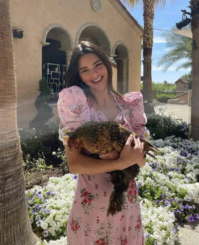 Kendall Jenner (Ảnh: Internet)