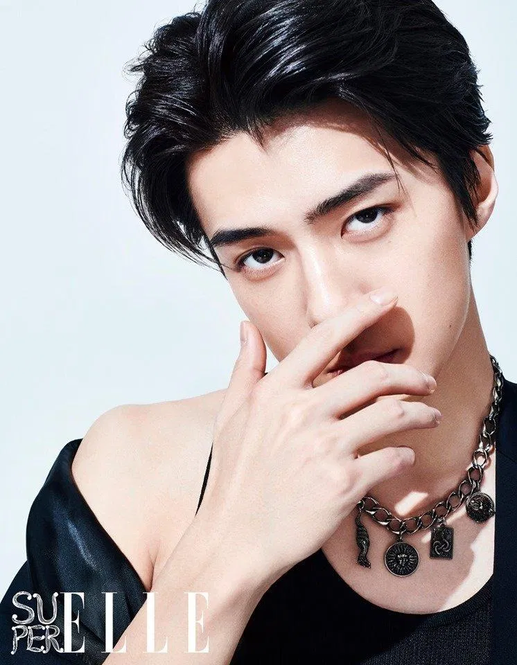 Nam thần tượng Sehun của EXO (Ảnh: Internet)