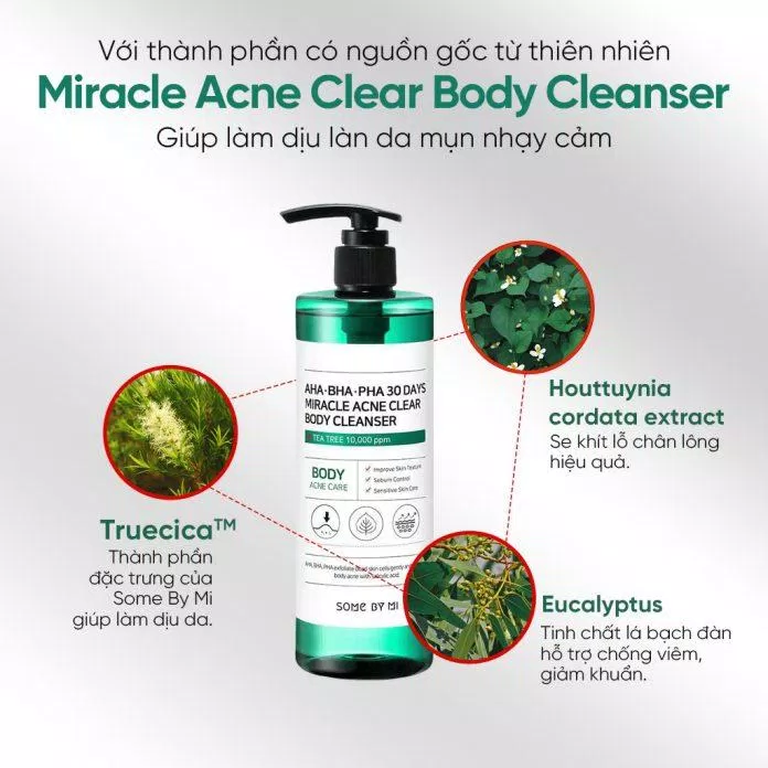Sữa tắm Some By Mi Miracle Acne Clear Body Cleanser có bảng thành phần thiên nhiên an toàn ( Nguồn: internet)