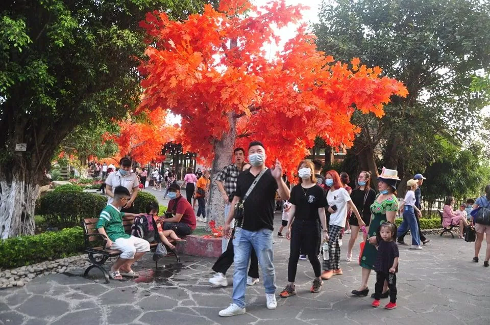 Rất nhiều góc đẹp để du khách có thể check in sống ảo (nguồn: BlogAnChoi)