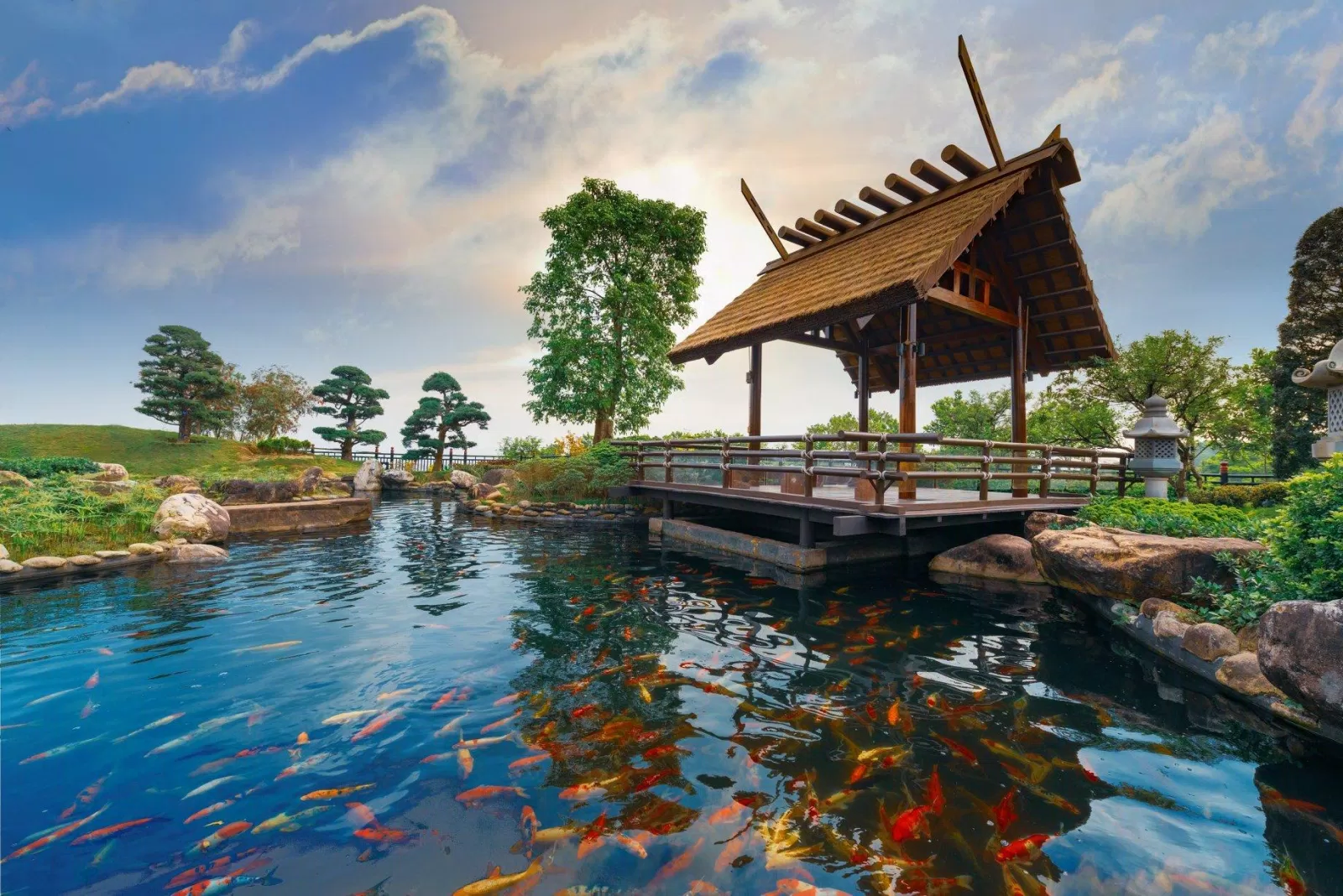 Hồ cá Koi đẹp lung linh (nguồn: Fanpage Sun World Hạ Long Complex)