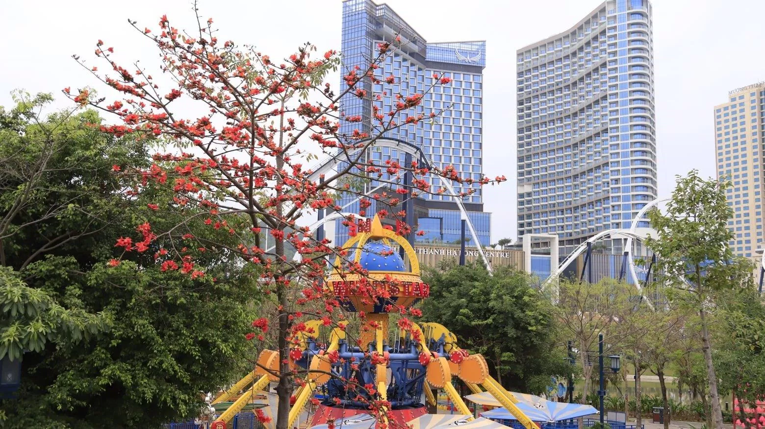 Hoa gạo đỏ rực 1 góc trời tại công viên rồng (nguồn: Fanpage Sun World Hạ Long Complex)
