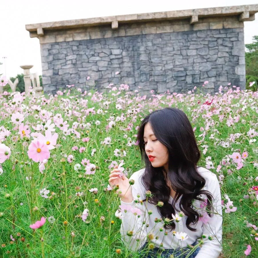 Có rất nhiều loài hoa để du khách check in (nguồn: Fanpage Sun World Hạ Long Complex)