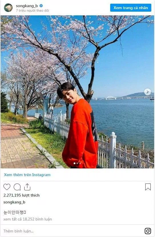 Song Kang rất nổi tiếng trên mạng xã hội Instagram (Ảnh: Internet).