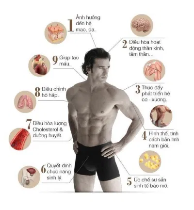 Thuốc steroid có thể làm mất cân bằng hormone trong cơ thể (Ảnh: Internet). Thuốc steroid có thể làm mất cân bằng hormone trong cơ thể (Ảnh: Internet).