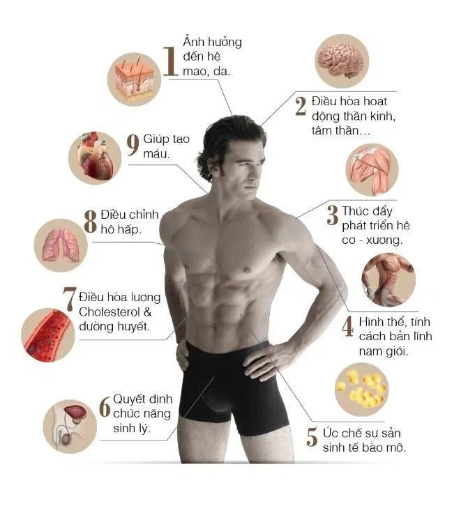 Thuốc steroid có thể làm mất cân bằng hormone trong cơ thể (Ảnh: Internet).